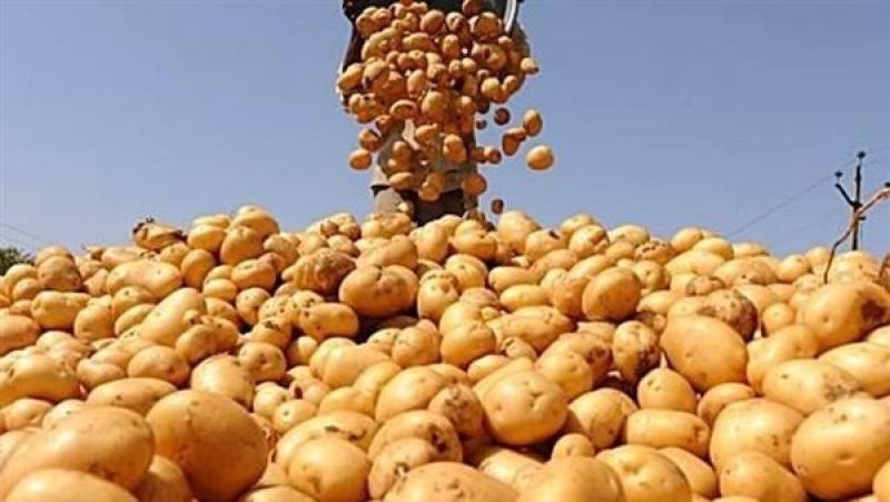 وزير الزراعة: تجاوز صادرات البطاطس 1.3 مليون طن لأول مرة بفضل التقنيات الحديثة