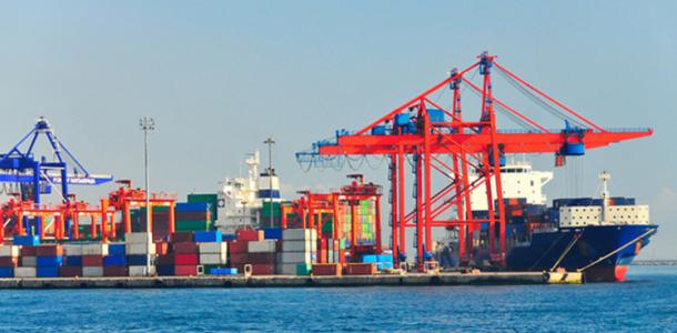 مصر تصدر 222 ألف طن سلعا غذائية وزراعية خلال الأسبوع الماضي