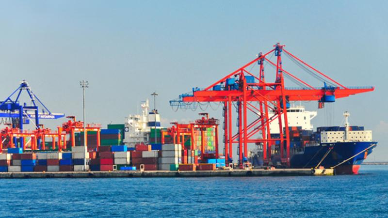 «سلامة الغذاء»: 4573 رسالة غذائية مُصدّرة خلال أسبوع بإجمالي 162 ألف طن