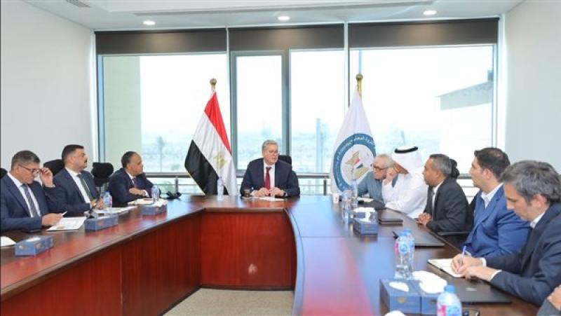 وضع خطة لإعداد قاعدة بيانات عن أماكن الثروات المعدنية في مصر