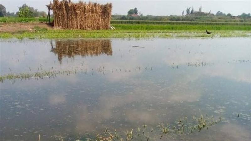 «ارتفاع منسوب النيل».. تحذير من الحكومة وطلب بإخلاء هذه الأراضي والمنازل