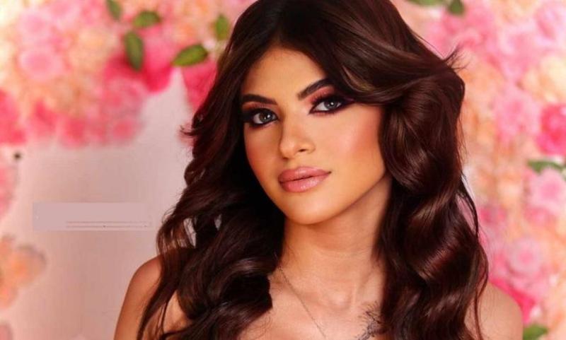 الحبس سنة لسوزي الأردنية وغرامة 100 ألف جنيه بتهمة بث فيديوهات خادشة الحبس سنة لسوزي الأردنية وغرامة 100 ألف جنيه بتهمة بث فيديوهات خادشة