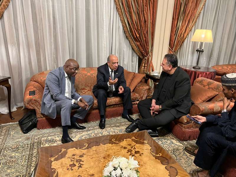 وزير الكهرباء يبحث مع نظيره بجمهورية تشاد سبل التعاون بمجالات الطاقة المتجددة والتدريب