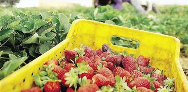 15.7 مليار دولار قيمة صادرات مصر لدول مجموعة العشرين في 2025