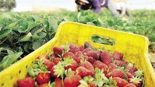 15.7 مليار دولار قيمة صادرات مصر لدول مجموعة العشرين في 2025