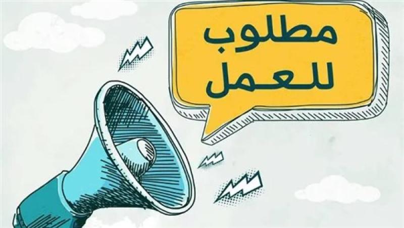 بمرتبات تصل لـ9500 جنيه.. وزارة العمل تتلقى طلبات التقديم على وظائف جديدة