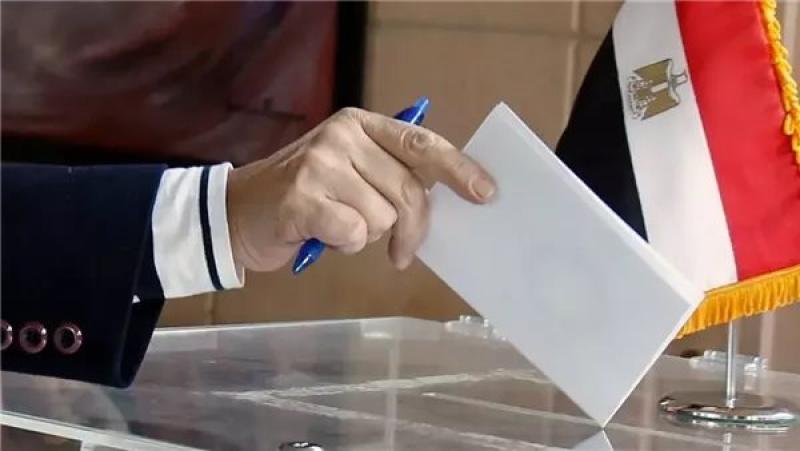 انتخابات مجلس النواب 2025.. انطلاق تصويت المصريين بالخارج في إعادة الجولة الأولى بالدوائر الـ19 الملغاة غدًا