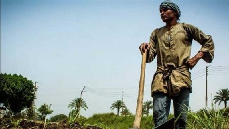 رسالة طمأنة للمزارعين من وزير الزراعة: عارفينكم ومعاكم في الحقل