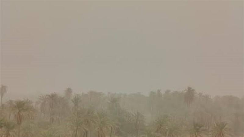 وزارة الداخلية توجه إرشادات عاجلة لقائدي السيارات بالتزامن مع العواصف الترابية