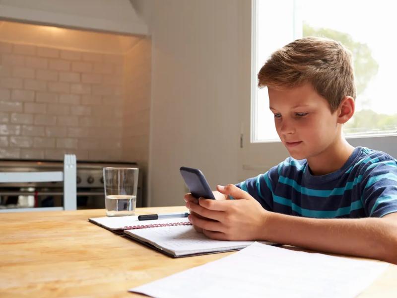 تحذيرات من تأثير منصات التواصل الاجتماعي على الأطفال: خطر على الهوية والثقافة