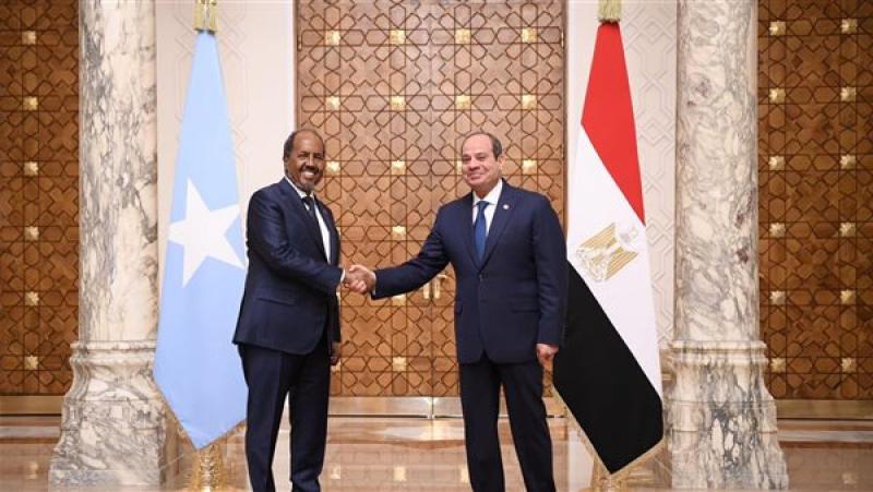 الرئيس السيسي: مصر مستعدة لمشاركة خبراتها في مكافحة الإرهاب مع الصومال الشقيق