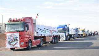 اللجنة المصرية تدعم غزة غذائياً وإنسانياً وسط انسحاب المنظمات الدولية