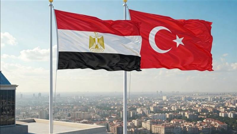 وزير الخارجية يؤكد رفض مصر الكامل واستنكارها لاستهداف تركيا أو المساس بسيادتها