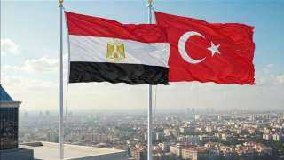 وزير الخارجية يؤكد رفض مصر الكامل واستنكارها لاستهداف تركيا أو المساس بسيادتها