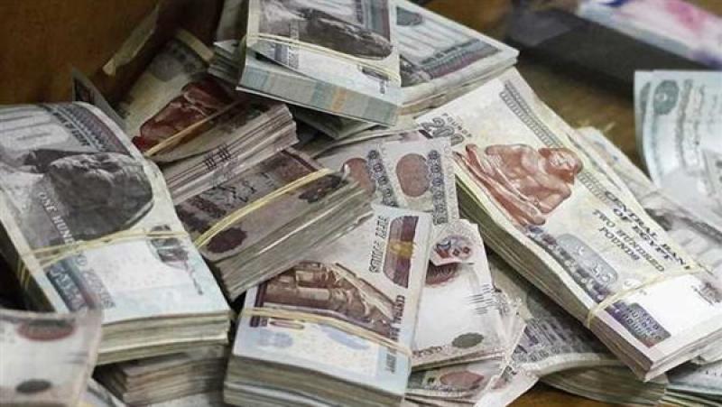 «لمواجهة التضخم».. شهادات ادخار في البنوك المصرية بعوائد مرتفعة