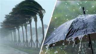 طقس اليوم الثلاثاء: بارد صباحًا وحار على جنوب الصعيد مع فرص شبورة مائية وأمطار خفيفة