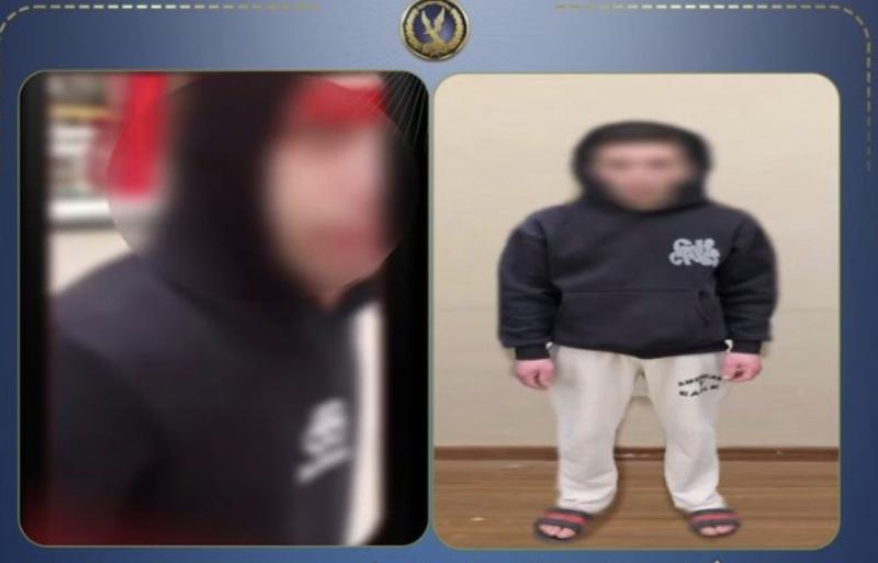 حاول الاستيلاء على هاتفها.. تضبط طالب تحرش بفتاة في ميت غمر