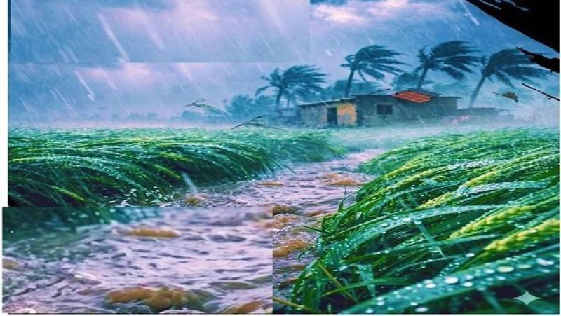 مركز معلومات المناخ يحذر: موجة طقس سيئ تضرب البلاد خلال ساعات مصحوبة بعواصف رعدية وسيول