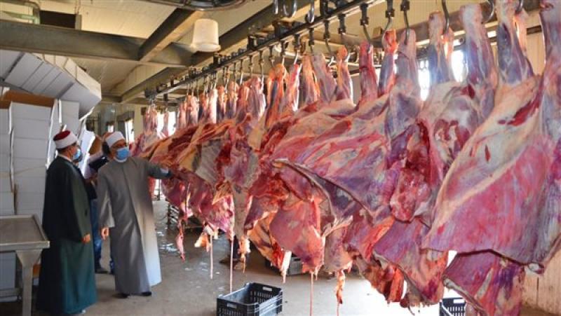 الإفتاء توضح حكم بيع الفقراء لحوم الأضاحي الزائدة عن احتياجاتهم