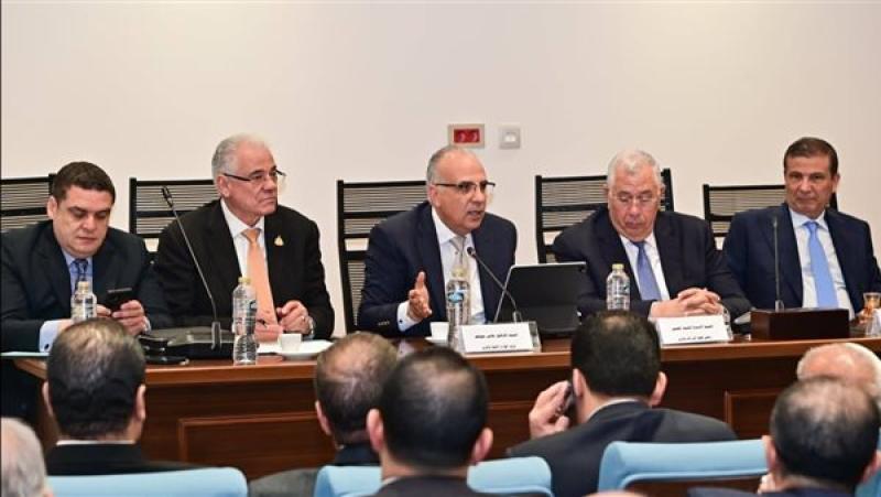 وزير الري: زراعة نحو مليون فدان من الأرز لتحقيق الاكتفاء الذاتي