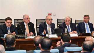 وزير الري: زراعة نحو مليون فدان من الأرز لتحقيق الاكتفاء الذاتي