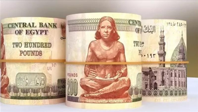 شهادات ادخار بعائد شهري في البنوك.. والحد الأدنى يبدأ من 1000 جنيه وعائد 17.25%