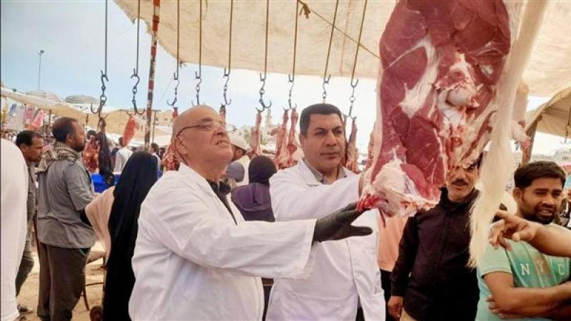 «الزراعة» تضبط أطنان من اللحوم غير الصالحة وتوجه نصائح للمواطنين