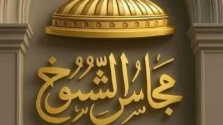 «الشيوخ» يناقش اليوم تأمين امتحانات الثانوية العامة للحد من ظاهرة الغش