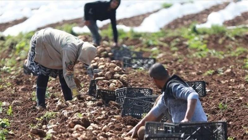 إطلاق مشروع لدعم الاقتصاد الزراعي بقيمة 7.5 مليون يورو في لبنان