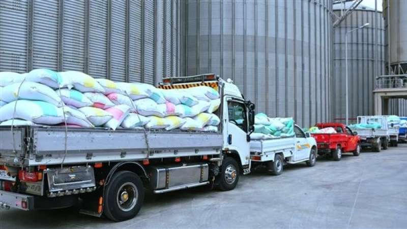بشرى سارة للفلاحين.. الزراعة تعلن موعد صرف مستحقات توريد القمح وتحفيزات لزيادة الإنتاج